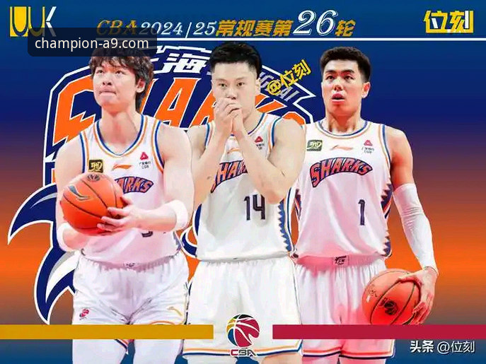 从上海男篮12连胜，看A9体育平台如何提升观赛体验的实用指南